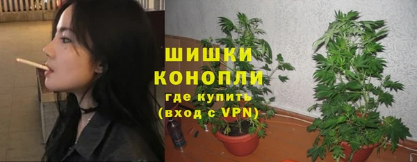 ECSTASY Дедовск