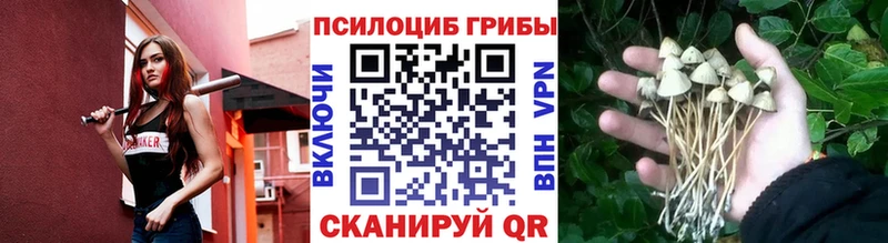 Галлюциногенные грибы ЛСД Райчихинск