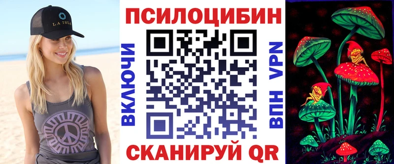купить  цена  Райчихинск  Псилоцибиновые грибы GOLDEN TEACHER 